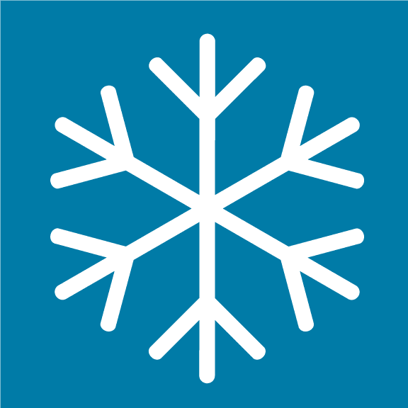 Snow Flake 